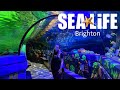 SEA LIFE Brighton Vlog July 2021