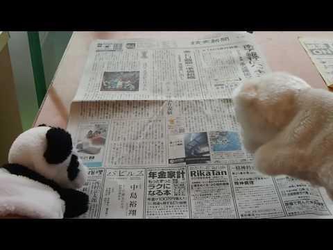 電気電子通信工学科 [NIT]　日工大探訪２　LCセンター潜入　Shirokuma and Panda visiting Library in NIT