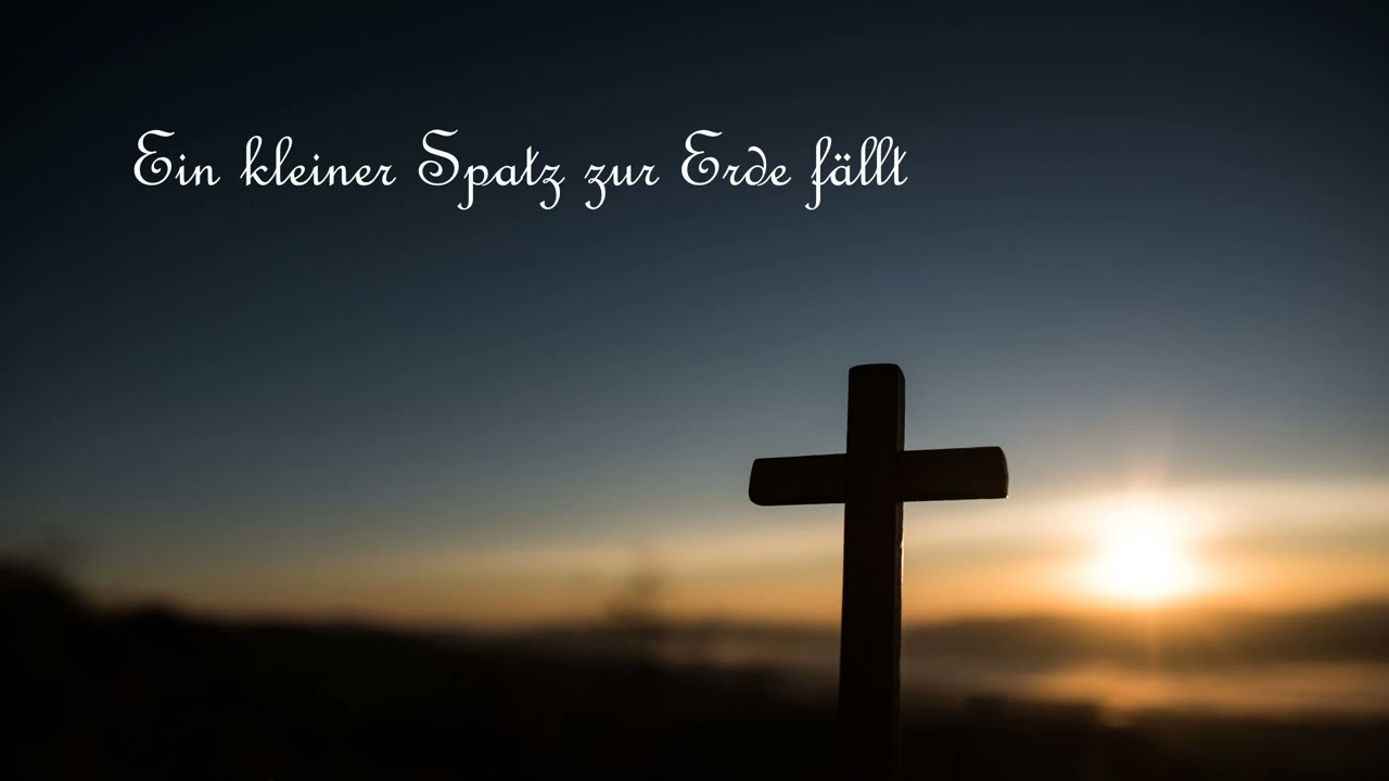 534 - Ein kleiner Spatz zur Erde fällt