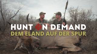 Dem Eland auf der Spur 🇳🇦 von @ana-namibia