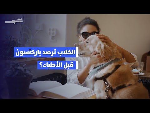 فيديو | دراسة بريطانية جديدة تظهر قدرة الكلاب على اكتشاف مرض باركنسون مبكرا بدقة تصل إلى 98%