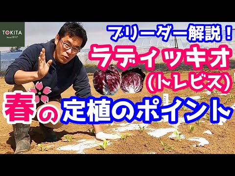 ルディ・リッチョッティについて詳しく解説