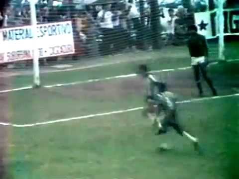 Botafogo 4 x 0 Serrano - 1980