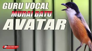 Download lagu MASTERAN PALING DI CARI Sang GURU MURAI BATU AVATAR !!! mp3 Download lagu MASTERAN PALING DI CARI Sang GURU MURAI BATU AVATAR !!! mp3