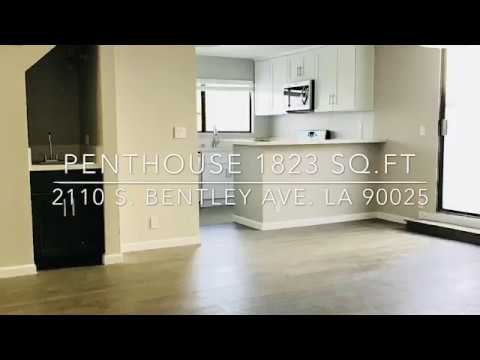 Newly Renovated Penthouse 2 beds + Loft - 2.5 baths. Amazing Private Decks