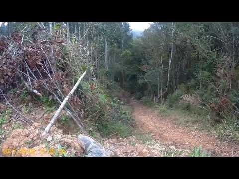 Trilha cruzeta 02/09/2017 #Osbie