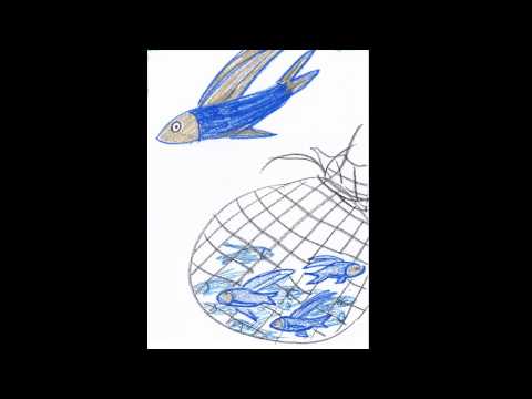 歌謠篇 雅美語 01aibangbang 漁獲歌