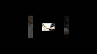 【#Mighty Long】【#ワンオク】【#shorts】【#永久機関】Mighty Long Fall short/ONE OK ROCK guitarcover