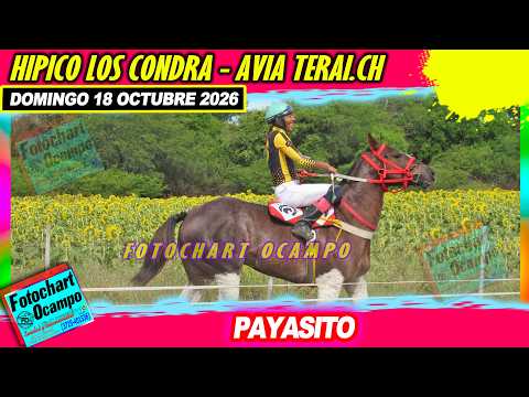 PAYASITO Avia Terai CH 18 10 2026