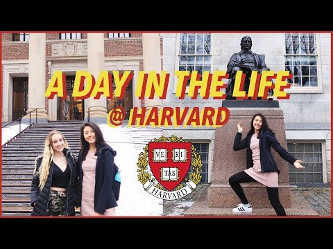 🏫A Day in the Life at Harvard University (+ Campus Tour!) | Katie Tracy Video