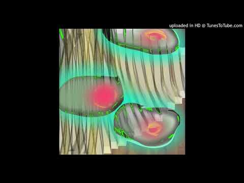 PREMIERE | Kubebe - Lycaons [Fauna Rêve] 2020