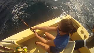 Mahi, Marlin, and Tuna's Oh My!!! - Fishing Cabo San Lucas