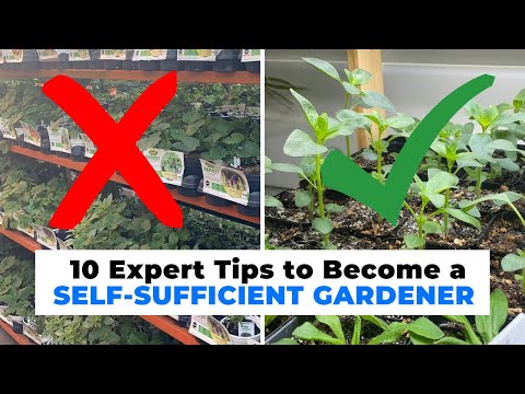 10 Expert Tips to Become a SELF-SUFFICIENT GARDENER