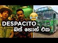 DESPACITO BUS HORN DESPACITO 2018