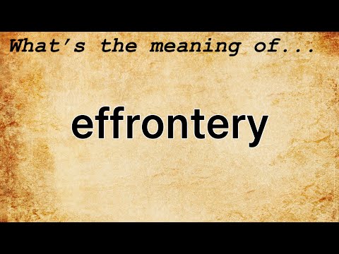 Effrontery Meaning | Definition of Effrontery