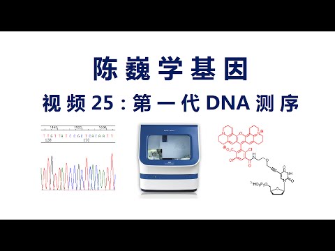 【陈巍学基因】视频25：第一代DNA测序