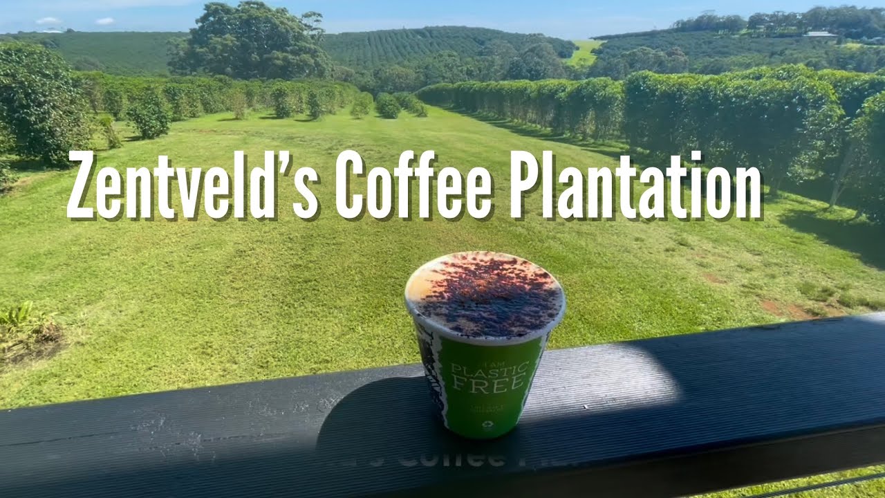 Take a virtual tour of Zentvelds Coffee Plantation and Roastery.
