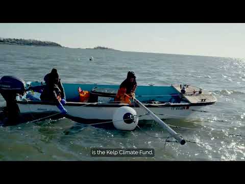 Regenerative Ocean Farming with GreenWave