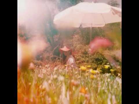 lana del rey - freak like me (demo) extended bridge