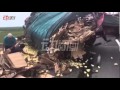 Salvan a miles de pollitos en un accidente de tráfico en China