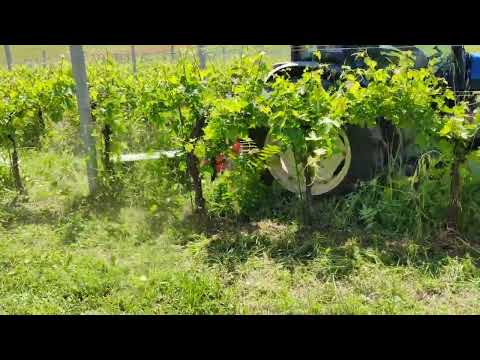 Spollonatrice/Decespugliatrice "GREEN" - Ciancaglini Srl