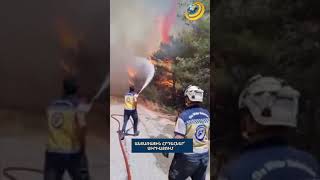 Անտառային հրդեհներ՝ Սիրիայում