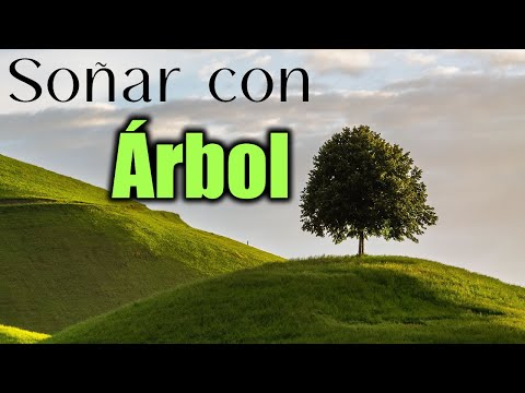 SOÑAR con ÁRBOL 🌳  Significado e Interpretación