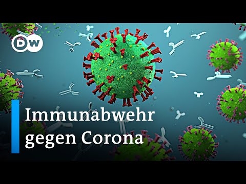 Kann ein starkes Immunsystem im Kampf gegen die 4. Corona-Welle helfen? | DW Nachrichten