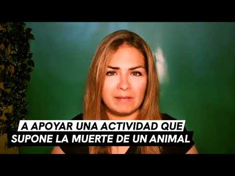Alcaraz criticado por ir a los toros
