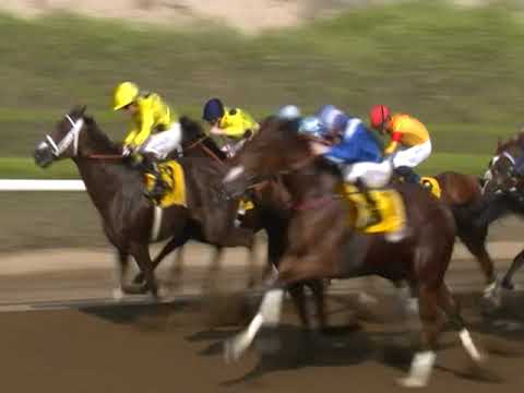 Jebel Ali 01.11.19 Race 4