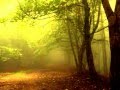 Ennio Morricone - Extrasensorial ( The Link ) - frederick292 Ennio Morricone - Extrasensorial ( The Link )