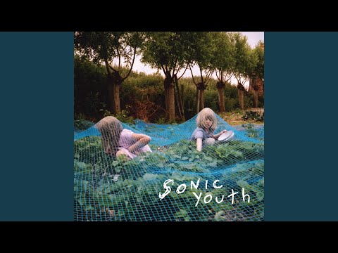 Disconnection Notice - Sonic Youth