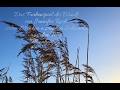 Das Farbenspiel Des Winds