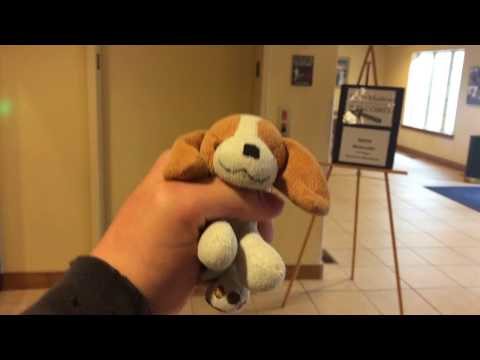 1st & 2nd Northwestern/Dover Hydraulic Elevators @ Stone Harbor Resort, Sturgeon Bay, WI