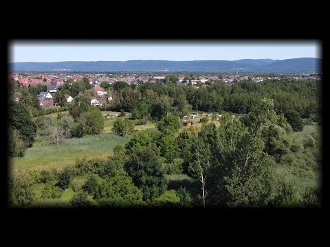 Jona vs. Whiskaz | EBT 2.0: 4tel-Finale [4/4]