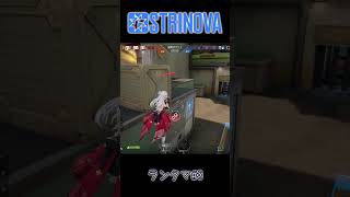 【Strinova】ランクマをやる その3 #shorts