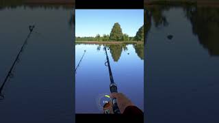 🎣🐠Carp fishing. Сatching carp in the lake. Carp fishing with boilies RF4 👍👉 #shorts #fishing #gaming