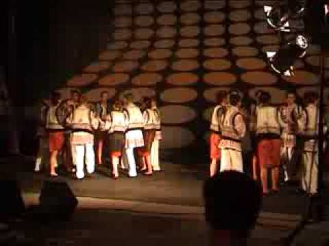 Formatia Salcioara Scoala Gimnaziala Valea Grecului Hora