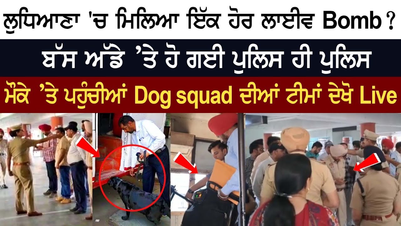 Another Live Bomb found in Ludhiana? Police Launches Search operation, Dog squad teams reached the spot Another Live Bomb found in Ludhiana? Police Launches Search operation, Dog squad teams reached the spot
