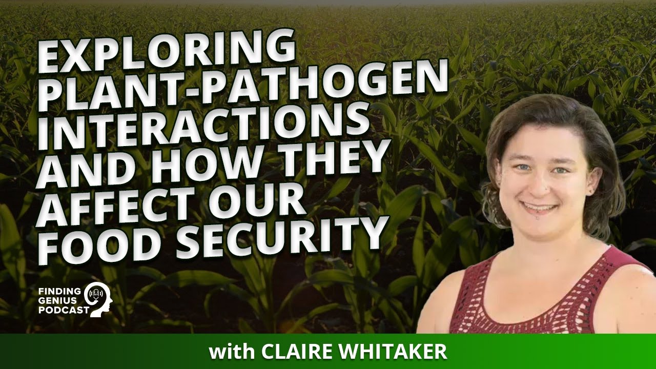 Exploring Plant-Pathogen Interactions And How They Affect Our Food Security - YouTube