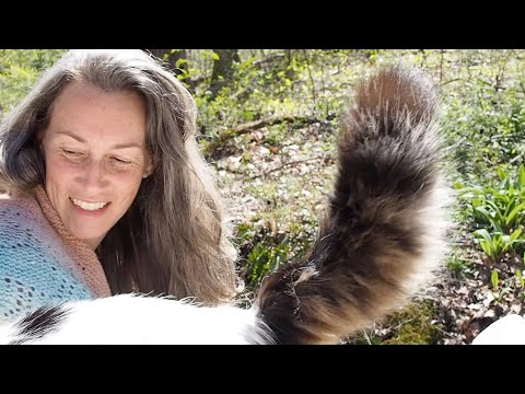 Out in the Woods - Episode 71 Ninja Chickens