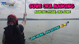 Download lagu Mancing pelem binatur//wko terbaru mp3