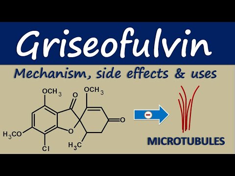 Griseofulvin 250mg tablets, griseofulvin 250mg, 10 tablets i...