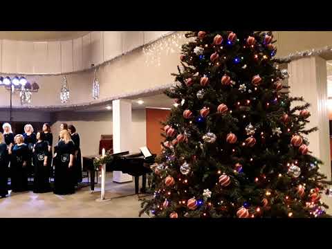 Nuostabusis moteru choras "Dangė'