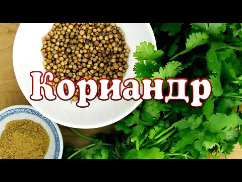 , title : 'Специи. Кориандр или кинза. ENG SUB.'