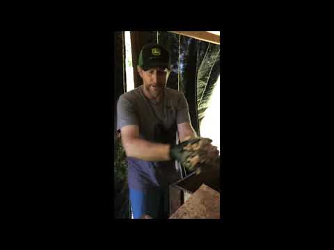 Fermenting Cacao at Lonohana.