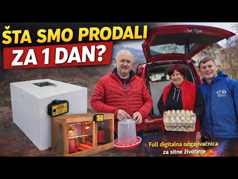 🔥OVO NISMO OČEKIVALI! ŠTA SMO PRODALI ZA 1 DAN?! 🔥 