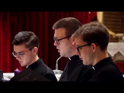 Komorni zbor bogoslova CBS -  Salve Mater (Koncert "Ususret Božiću" 2019. LIVE)