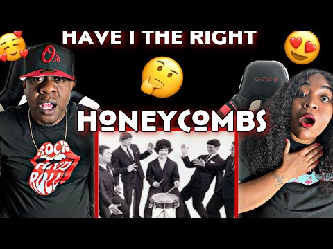 OUR FIRST TIME HEARING THIS GROUP!!!   HONEYCOMBS - HAVE I THE RIGHT (REACTION)