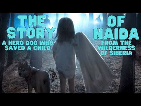 HDOTW: The Story of Naida: A Hero Dog who Saved a Child from the Wilderness of Siberia